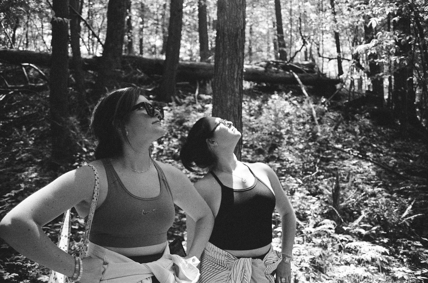 Two friends under a wooden arch on a meadow trail